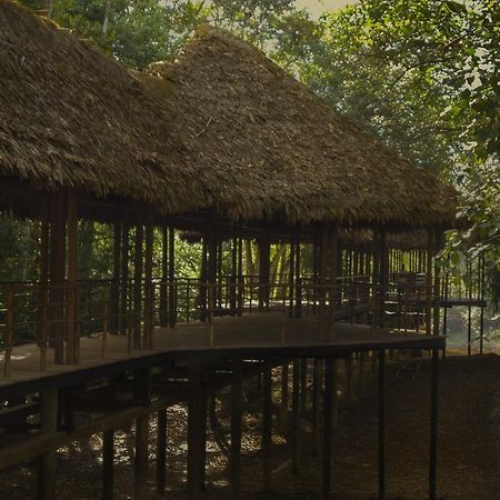Treehouse Lodge Yucuruche Exterior foto