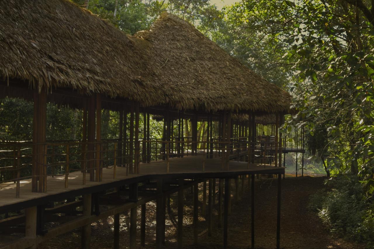 Treehouse Lodge Yucuruche Exterior foto
