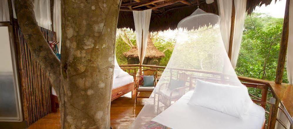 Treehouse Lodge Yucuruche Exterior foto